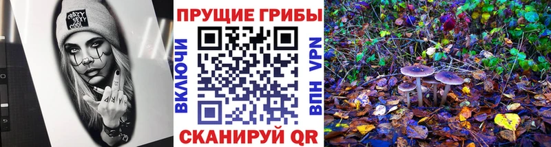 MEGA маркетплейс  Билибино  Псилоцибиновые грибы прущие грибы 